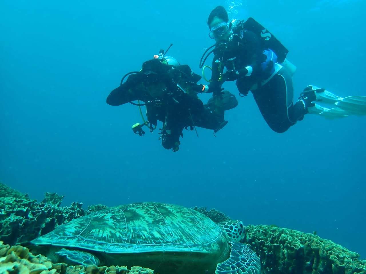 Menggali Emas Biru Nusantara: Momentum Integrasi Ekowisata Maritim dalam Kerangka BIMP-EAGA dan IMT-GT