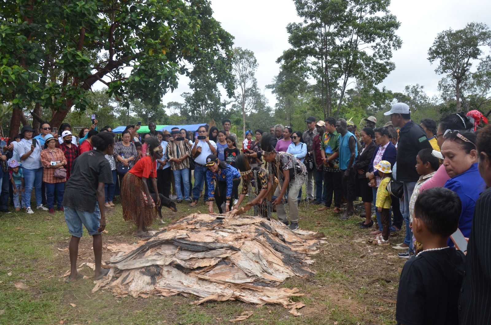 Tarian Suku Kanum dan Jamuan Sagu Panggang Batu Panas Satukan Sukacita Pentakosta Warga RI - Papua Nugini