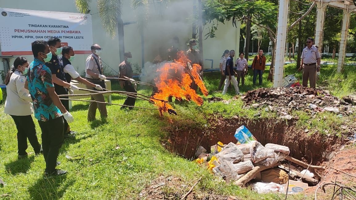 Ratusan Kilogram Olahan Daging dari Timor Leste Dimusnahkan di PLBN Motaain 