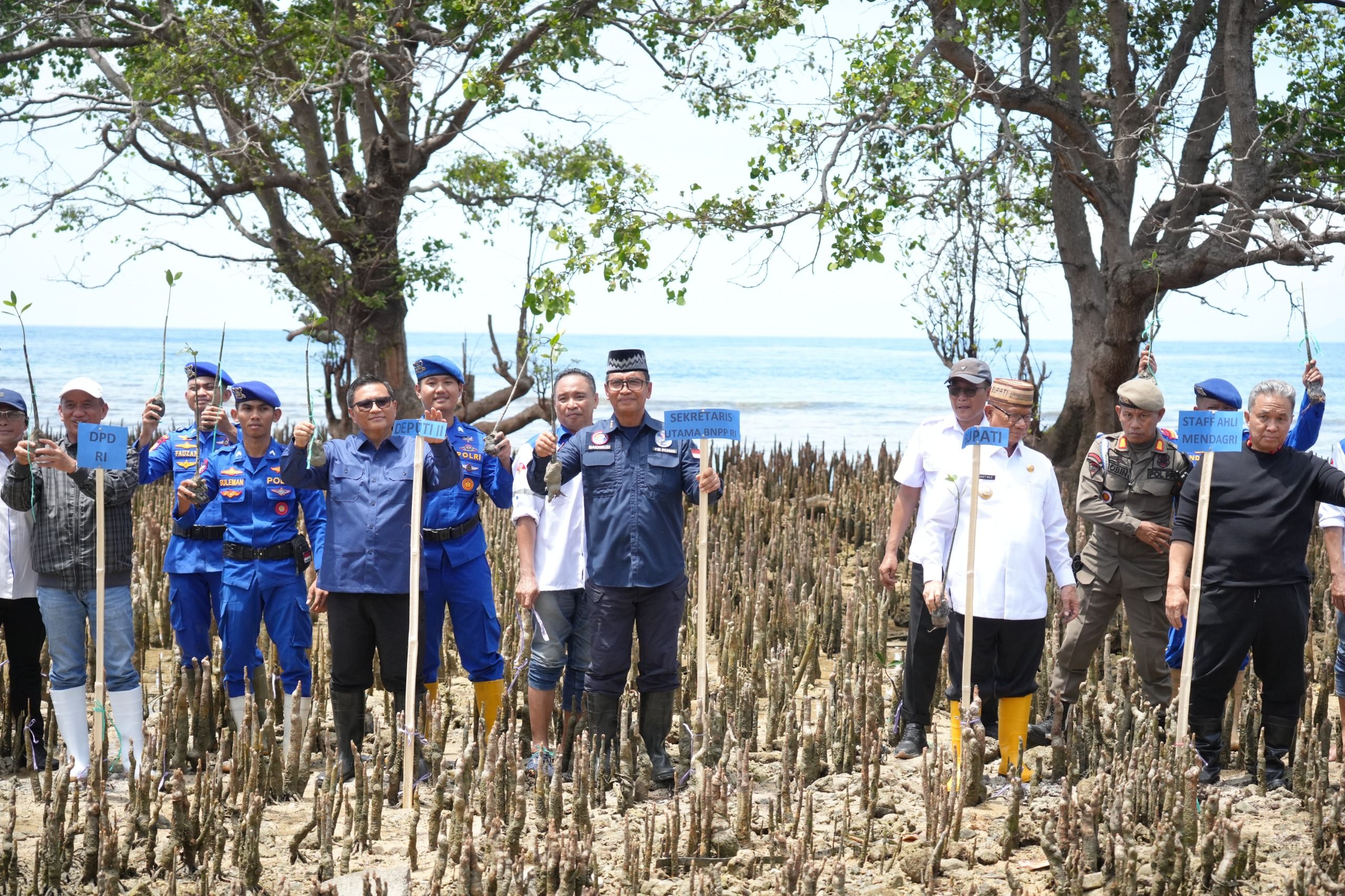 Wujud Nyata Pelestarian Lingkungan Pesisir, Sekretaris BNPP RI Tanam Mangrove di Pantai Desa Biluango