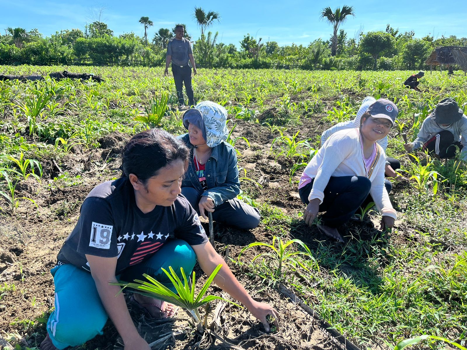 Wujudkan Masyarakat Berdaya, PLBN Motamasin Berpartispasi Maksimalkan Lahan Menganggur Jadi Produktif